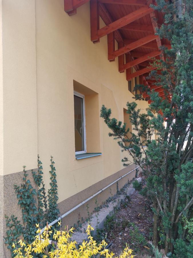 Apartmán Podlovics Tanya Panzió Kemecse Exteriér fotografie