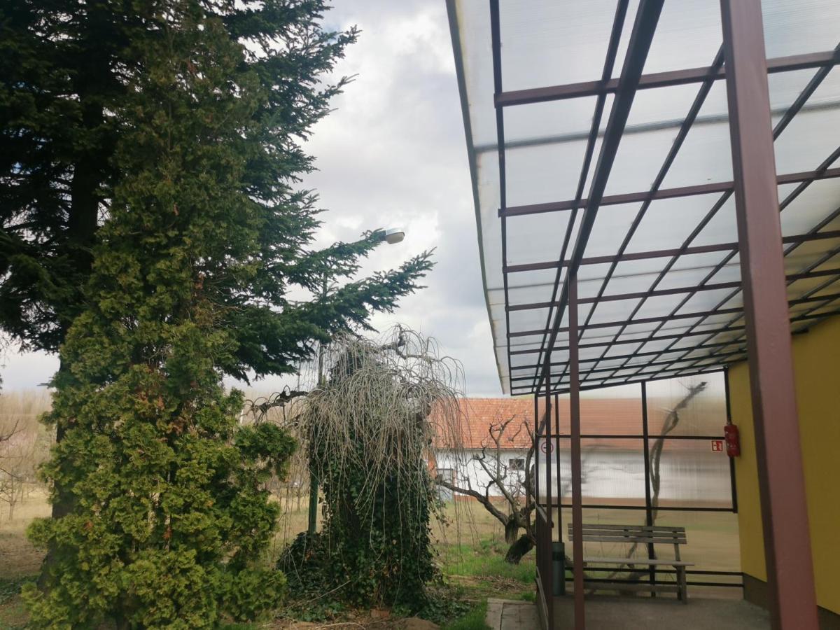 Apartmán Podlovics Tanya Panzió Kemecse Exteriér fotografie