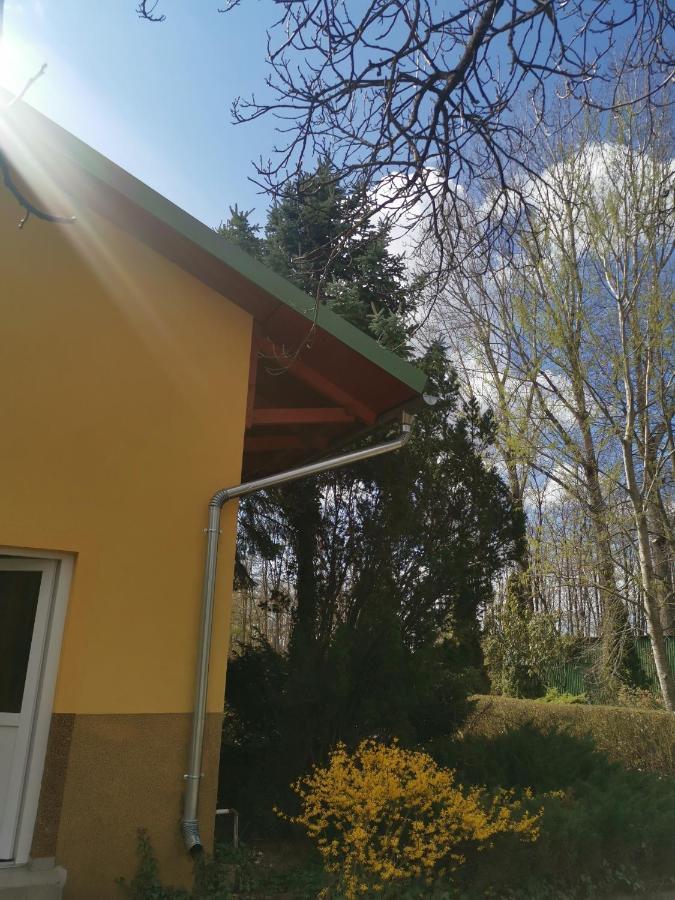 Apartmán Podlovics Tanya Panzió Kemecse Exteriér fotografie